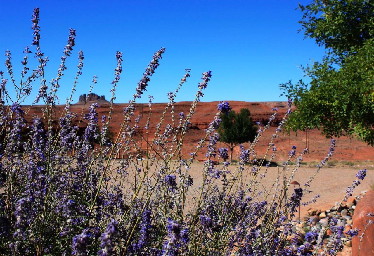 Hat Rock Inn Mexican Hat Dış mekan fotoğraf